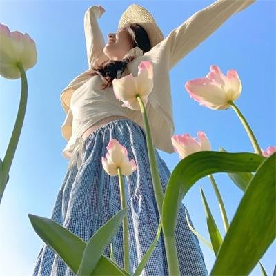 百慕大星际流浪者